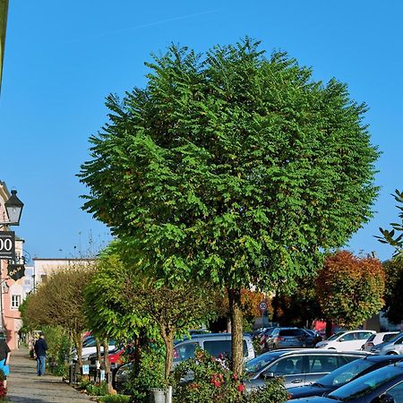 Ferienwohnung Tittmoning Zwischen Salzburg, Burghausen Und Oesterreich Zewnętrze zdjęcie